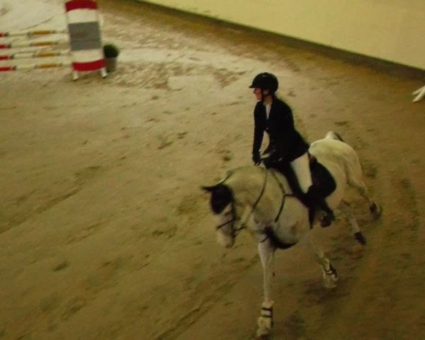 Reitturnier Fleesensee Classic´s 2024