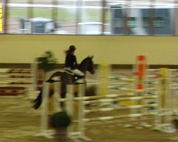 Reitturnier Fleesensee Classic´s 2024