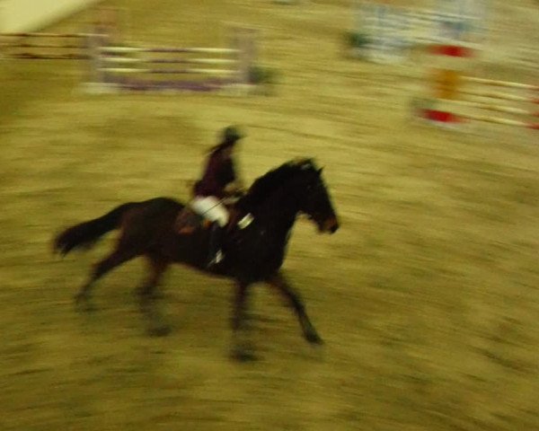 Reitturnier Fleesensee Classic´s 2024