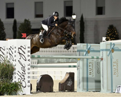 jumper Hayadina PP (KWPN (Royal Dutch Sporthorse), 2012, from Emerald van 't Ruytershof)