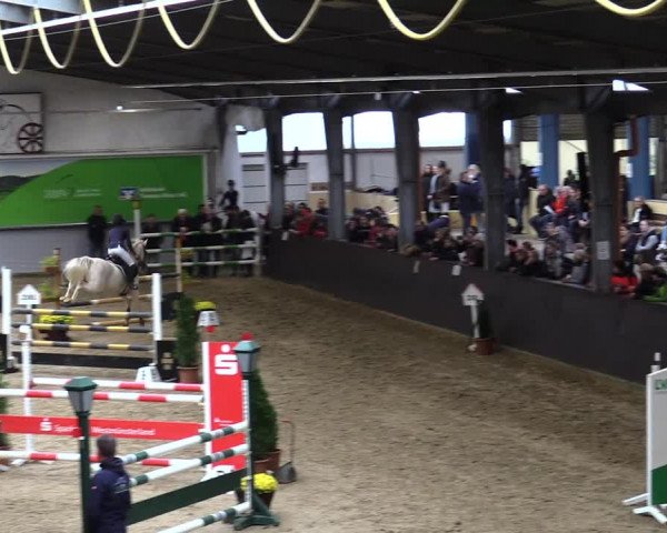 23. Legdener Ponymeeting 2021