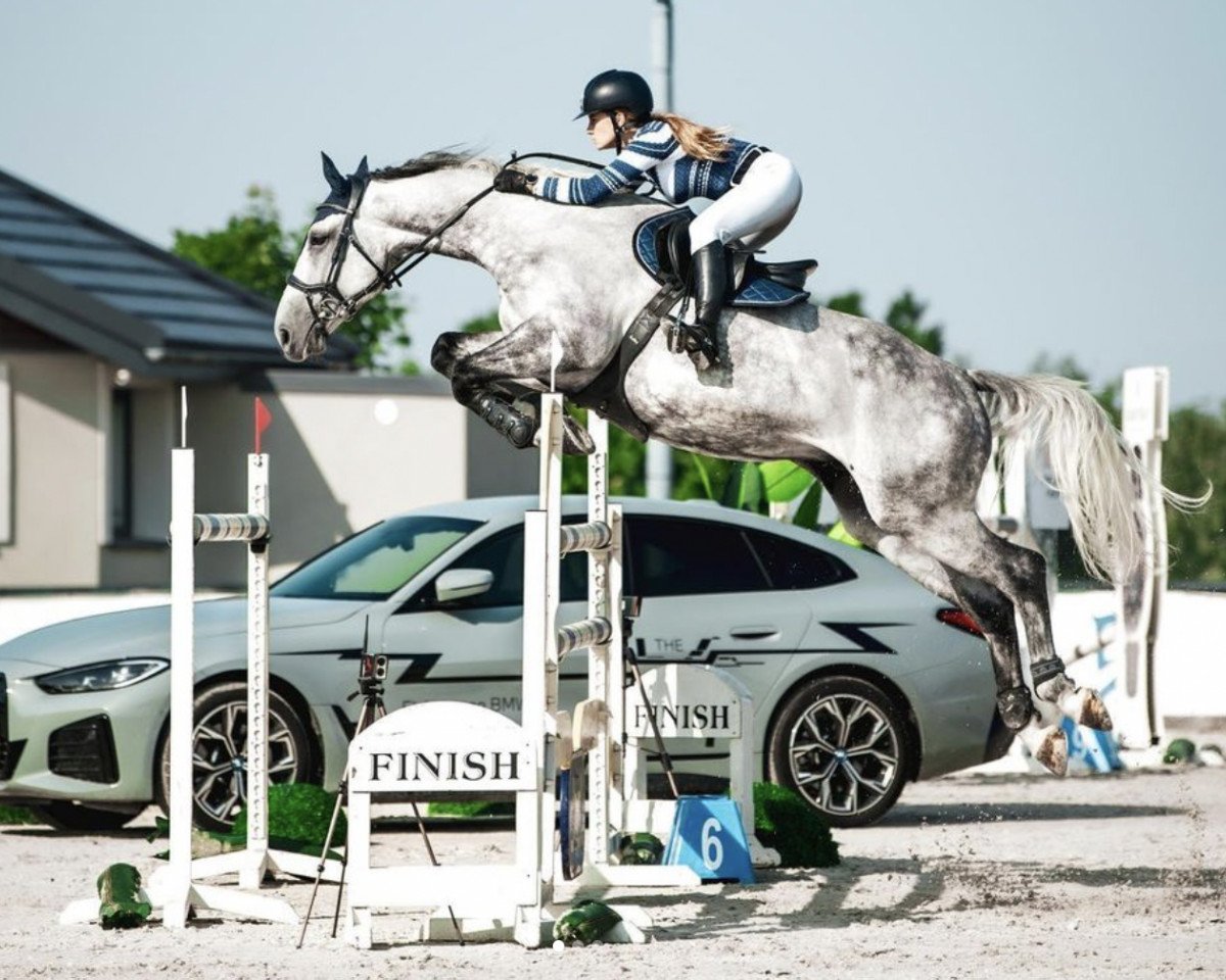 Springpferd Cornet Blanche Z (Zangersheide Reitpferd, 2015, von Cornet Obolensky)