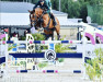 stallion Baccord (Oldenburg show jumper, 2009, from Balou du Rouet)