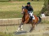 dressage horse Isselhook's Dornröschen (Trakehner, 2017, from Pagur ox)