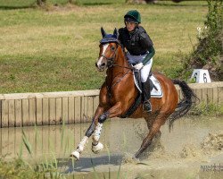 dressage horse Isselhook's Dornröschen (Trakehner, 2017, from Pagur ox)