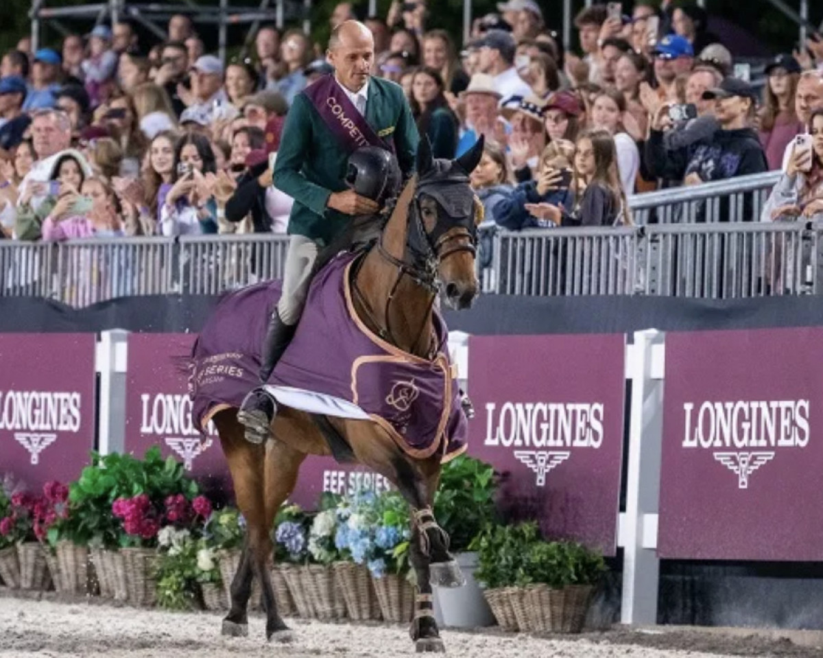 broodmare Loulou Mpsz (Zangersheide riding horse, 2015, from Lord Pezi Junior)