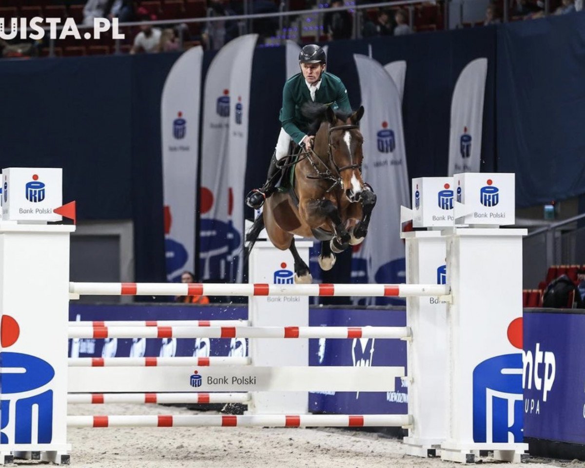 jumper Santos Hippica (Polish Warmblood, 2014, from Hippica Andiamo)