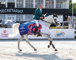 Springpferd Jerico (Polnisches Warmblut, 2008, von Wieland)