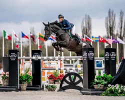 jumper Exit Remo (KWPN (Royal Dutch Sporthorse), 2009, from San Remo)