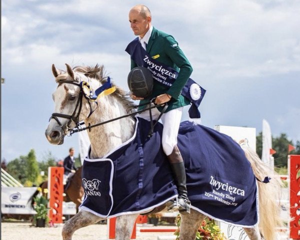 jumper Just Riding California Bs (Oldenburg show jumper, 2011, from Calido I)