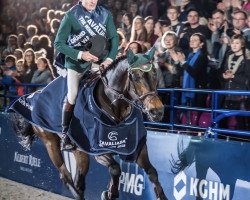 broodmare Chacclana (Oldenburg show jumper, 2009, from Chacco-Blue)