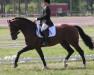 horse Royalist 101 FIN (Finnish Warmblood, 1997, from Rothschild J 63 FIN)