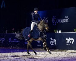 jumper Suedwind 9 (Oldenburg show jumper, 2013, from Stolzenberg)