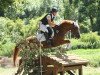 dressage horse Couscool (German Riding Pony, 2015, from Couscous)