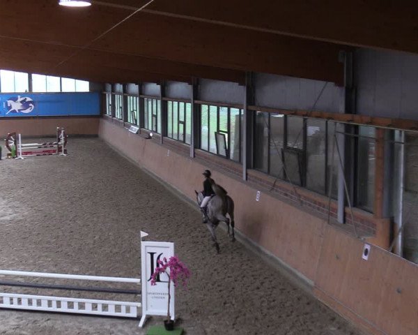 Reitturnier Osterholz-Scharmbeck 2024