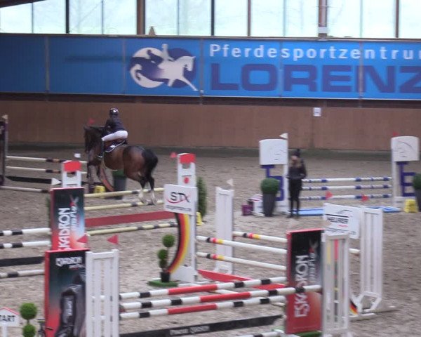 Reitturnier Osterholz-Scharmbeck 2024