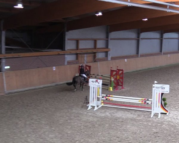 Reitturnier Osterholz-Scharmbeck 2024