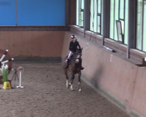 Reitturnier Osterholz-Scharmbeck 2024