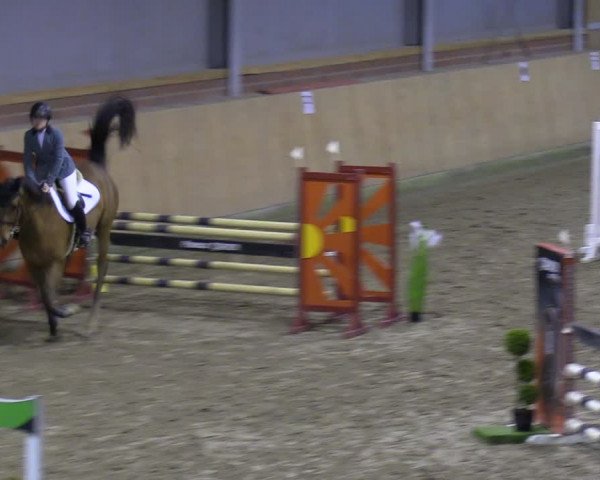 Reitturnier Osterholz-Scharmbeck 2024