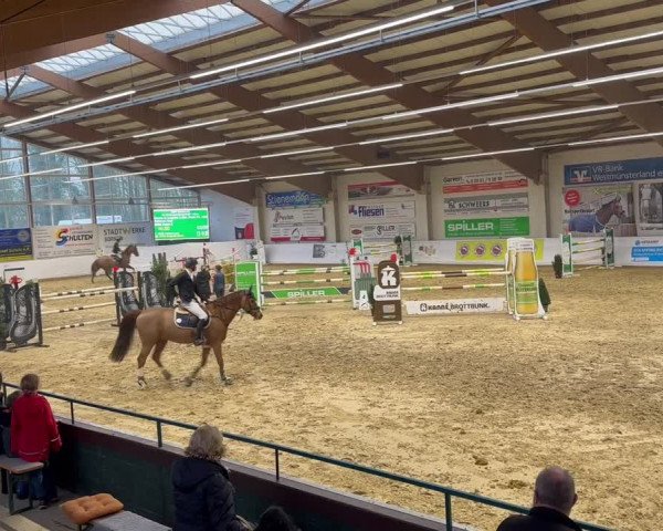 Video of Gabri