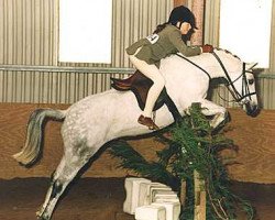 horse Small-Land Candyman (Welsh-Pony (Section B), 1986, from Downland Krugerrand)