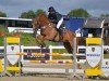 jumper Carmilou PS (Oldenburg show jumper, 2011, from Conthargos)