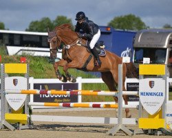 jumper Carmilou PS (Oldenburg show jumper, 2011, from Conthargos)