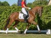 dressage horse Valerie (Westphalian, 2017, from Vainqueur)