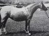 Zuchtstute Kirby Cane Generous (Welsh Pony (Sek.B), 1966, von Downland Chevalier)