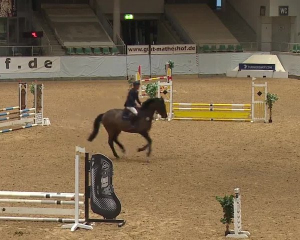 Reitturnier Kreuth/Opf. 2024