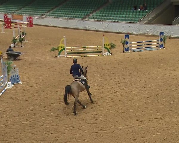 Reitturnier Kreuth/Opf. 2024