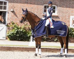 dressage horse Feliciano 52 (Hanoverian, 2010, from Fuechtels Floriscount OLD)