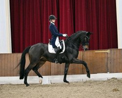 dressage horse Black Berry Fp (German Sport Horse, 2016, from Bon Coeur)