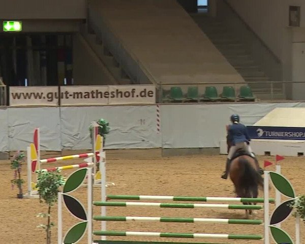 Reitturnier Kreuth/Opf. 2024