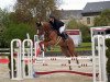 jumper Zalino W (German Sport Horse, 2016, from Birkhof's Zalando OLD)