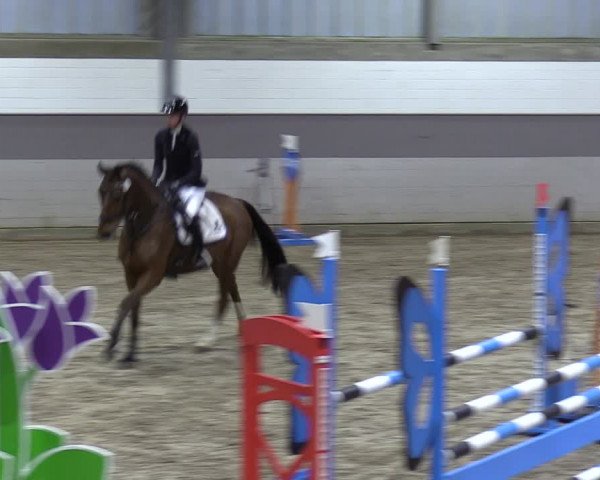 Reitturnier Luhmühlen 2024
