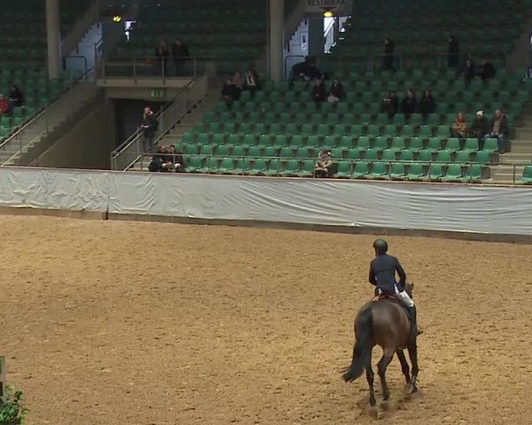 Reitturnier Kreuth/Opf. 2024
