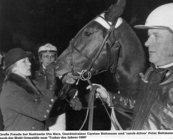 stallion Grimaldi (German trotters, 1986, from Lord Pit (DE))