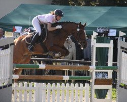 Springpferd Conner 28 (Deutsches Reitpony, 2003, von FS Cocky Dundee)