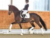 dressage horse For Pearl PS (Oldenburg, 2018, from Foundation 2)