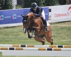 jumper Chacco's Clou PS (Oldenburg show jumper, 2014, from Chacco-Blue)