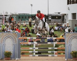 Springpferd Dominka van de Lucashoeve (Belgium Sporthorse, 2009, von VDL Cardento 933)