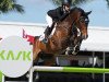 jumper Chicago 195 (Oldenburg show jumper, 2011, from Conthargos)