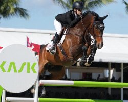 jumper Chicago 195 (Oldenburg show jumper, 2011, from Conthargos)