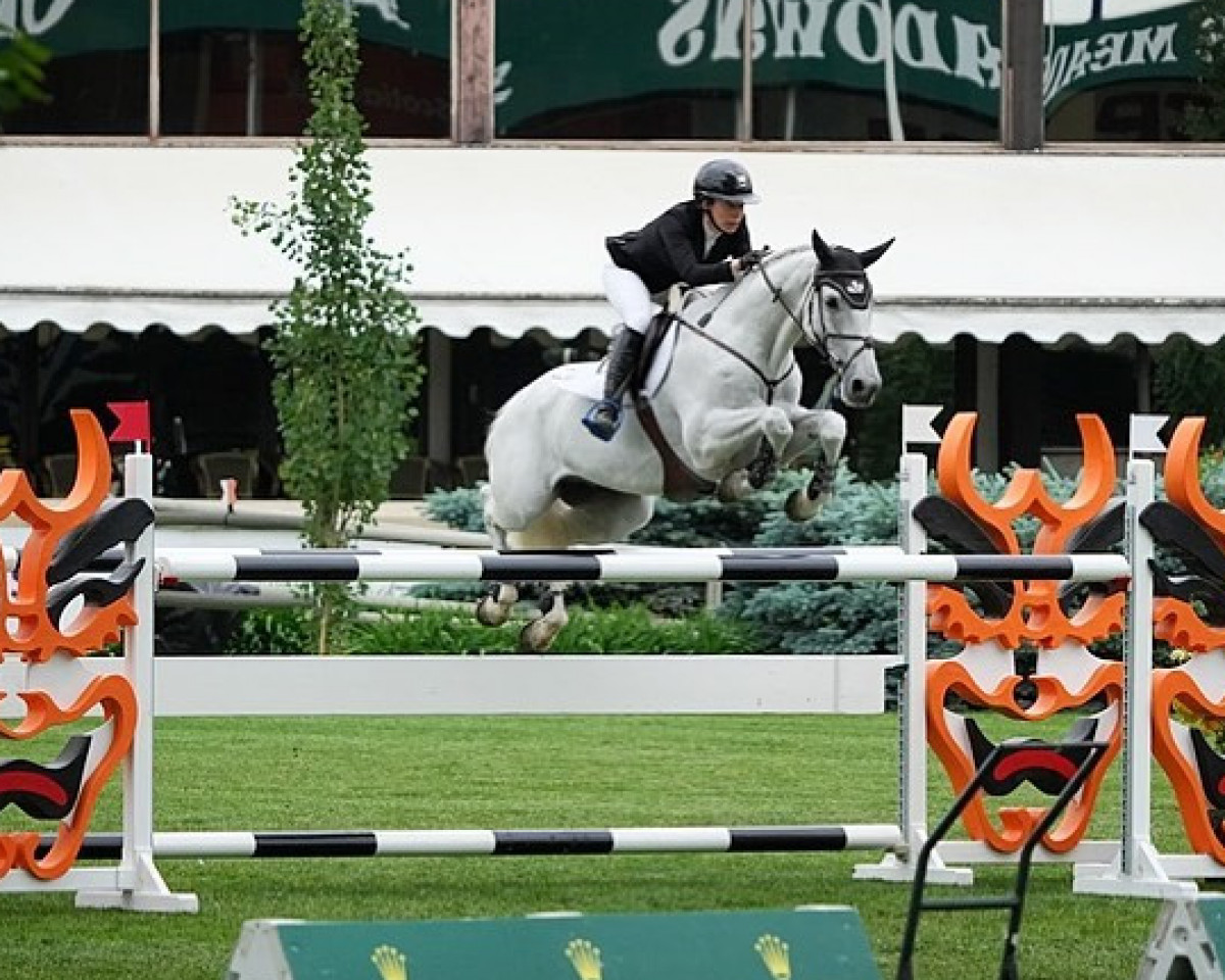 Springpferd Balintore (KWPN (Niederländisches Warmblut), 2006, von Vino)