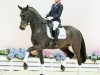 dressage horse Florentina 119 (Oldenburg, 2017, from Fürsten-Look)