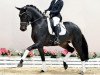 dressage horse Fleur belle Tyme OLD (Oldenburg, 2018, from Fürst Romancier)