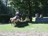 jumper Future 108 (Black Forest Horse, 2016)