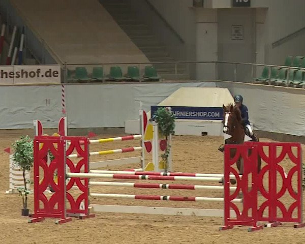 Reitturnier Kreuth/Opf. 2024