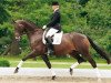 dressage horse Lyö (Hanoverian, 2004, from Damon Hill)